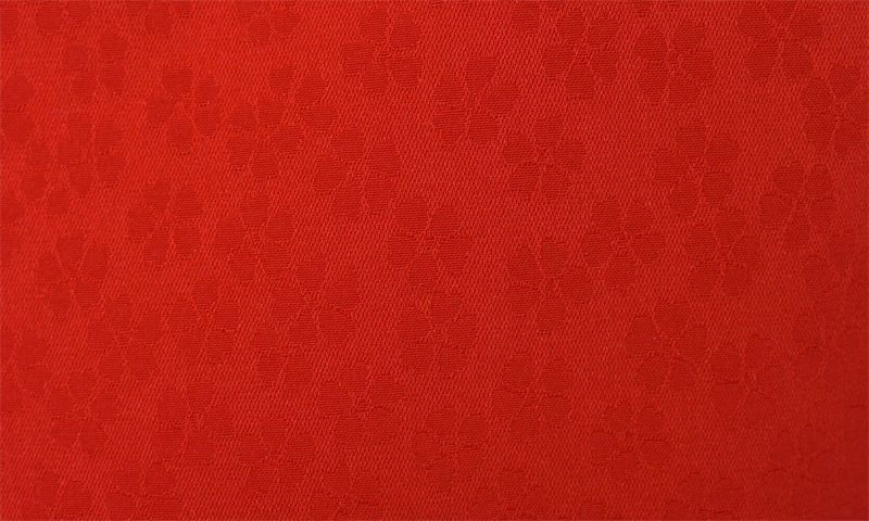 卒業袴［桜刺繍×刺繍入り］