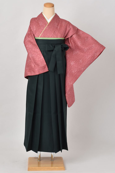 卒業袴［しだれ菊×無地］