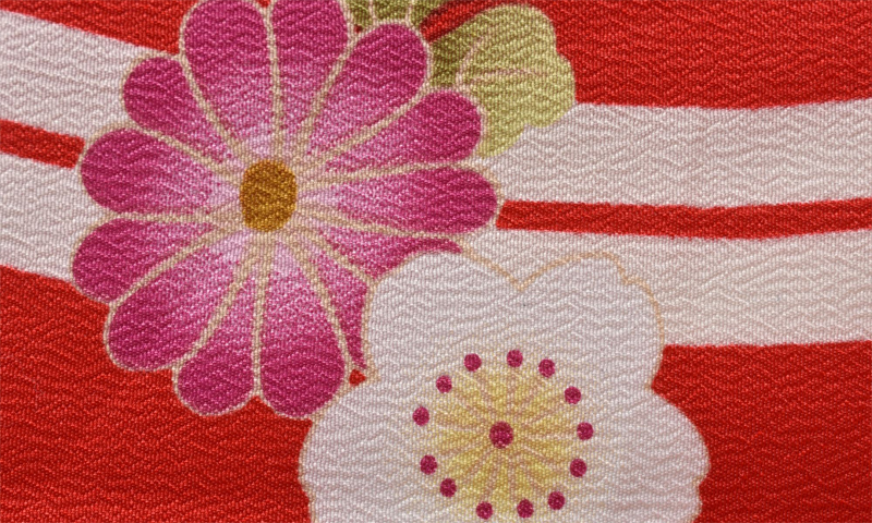 卒業袴［縦縞に花×刺繍入り］