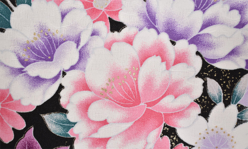 卒業袴［桜とカトレア×無地］