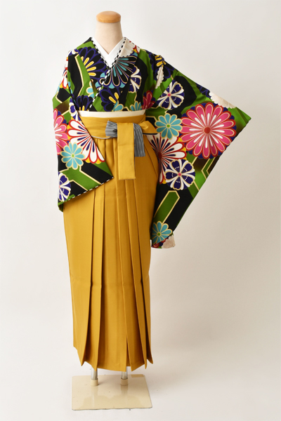 卒業袴［カラフル菊×無地］