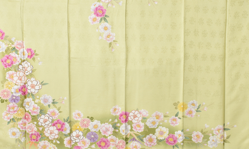 訪問着［さわやかな黄緑と桜］