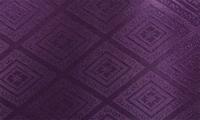 ジュニア紋付袴[紫紋付・花菱文・仙台平]