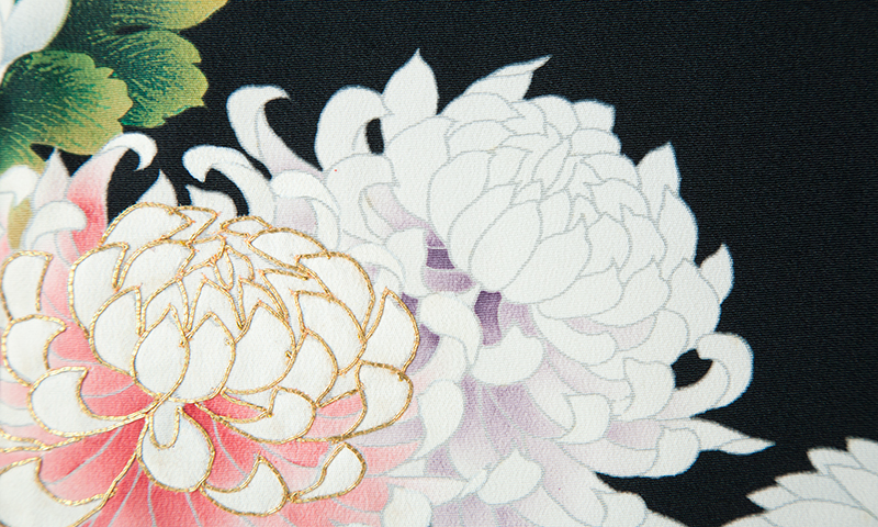 黒留袖(大輪の菊)