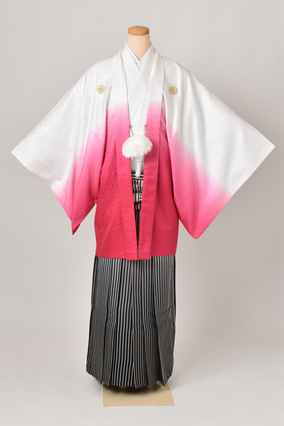 紋付袴[白・ピンク紋付・袴縞］
