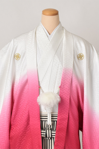 紋付袴[白・ピンク紋付・袴縞］