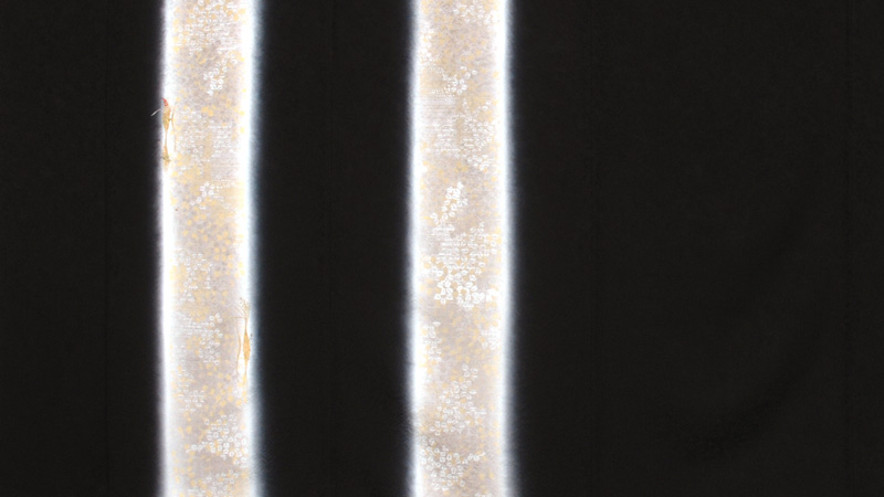 訪問着(大)黒・花