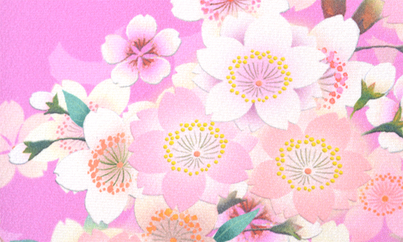 振袖[満開の桜]