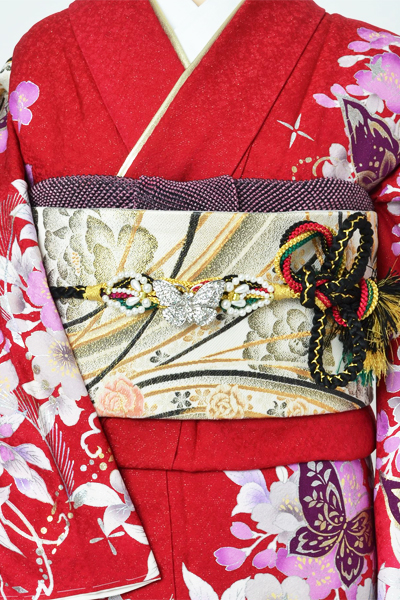 振袖[蝶々・桜、藤]