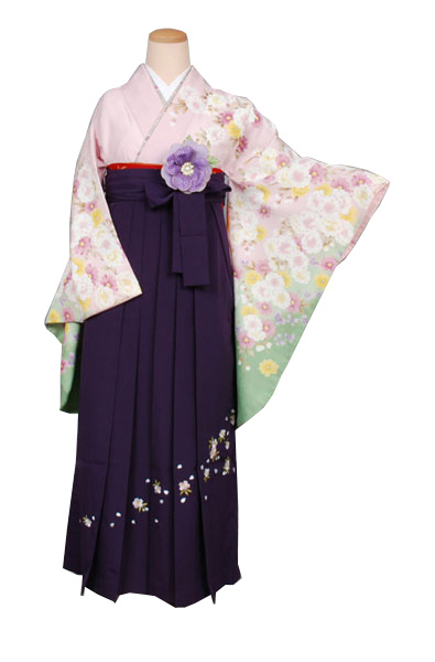 卒業袴(ピンク地に桜模様)
