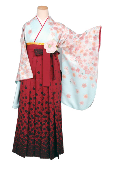 卒業袴(ブル－地に桜模様)