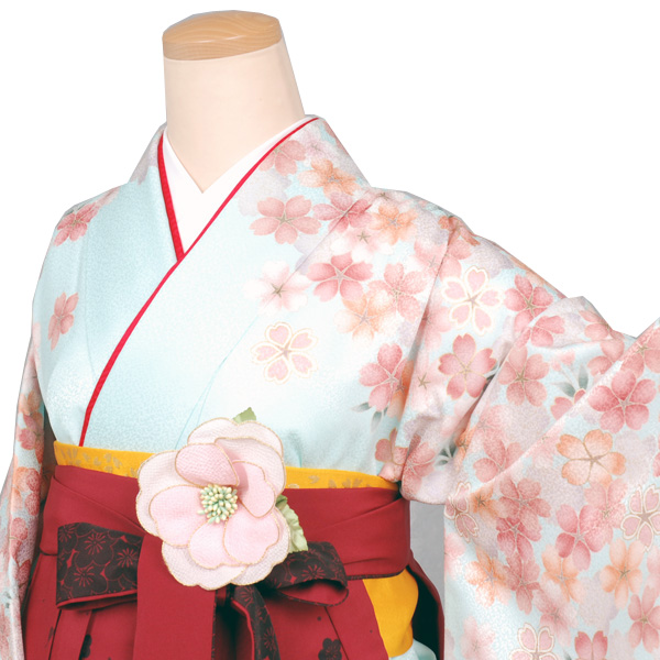 卒業袴(ブル－地に桜模様)