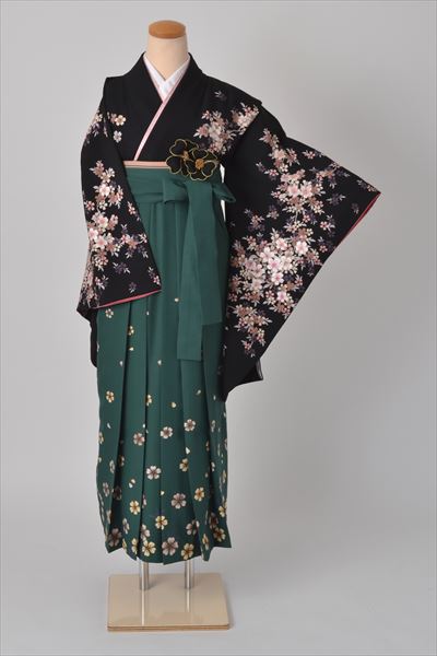 卒業袴［黒地の桜模様］