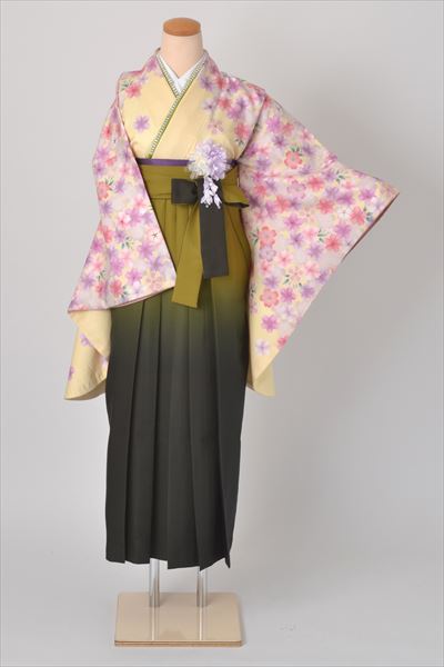 卒業袴［クリーム色地に桜模様］