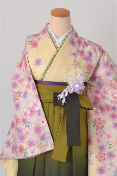 卒業袴［クリーム色地に桜模様］