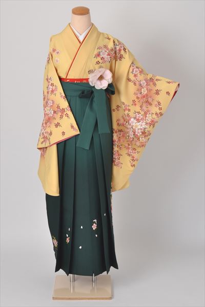 卒業袴［黄色の桜模様］