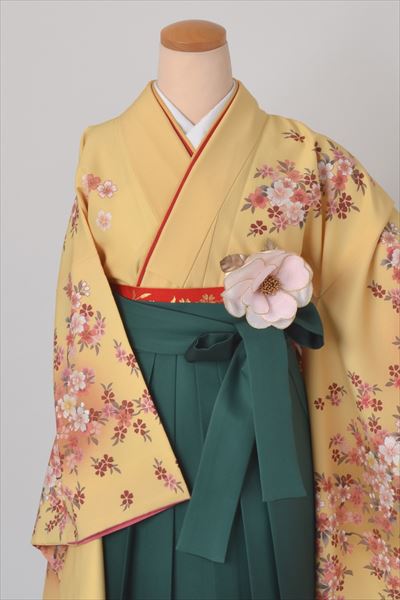 卒業袴［黄色の桜模様］
