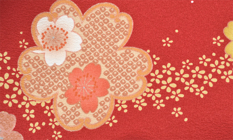 卒業袴［臙脂色地の桜づくし模様］