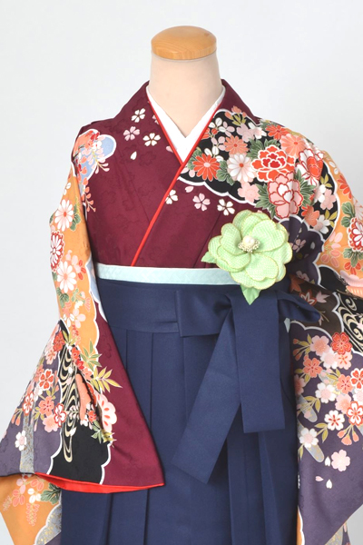 卒業袴［海老茶色地の雲どりに花車模様］