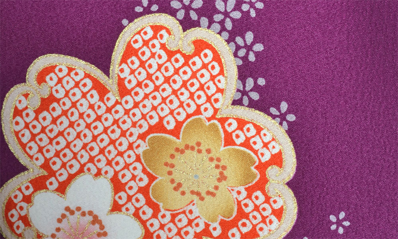 卒業袴［紫地の桜づくし模様］