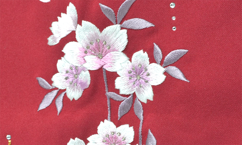 卒業袴［紺地の薬玉模様］