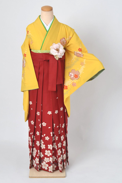 卒業袴［黄色地の桜づくし模様］