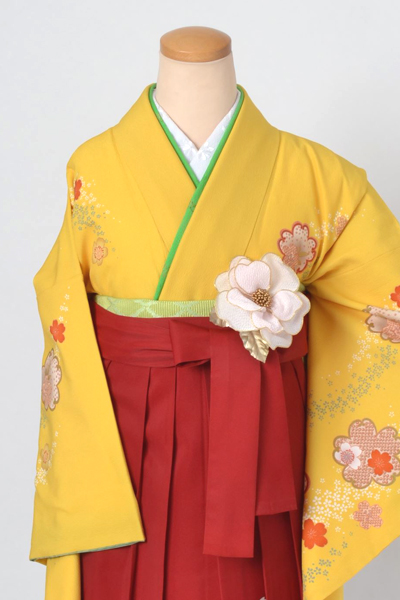 卒業袴［黄色地の桜づくし模様］