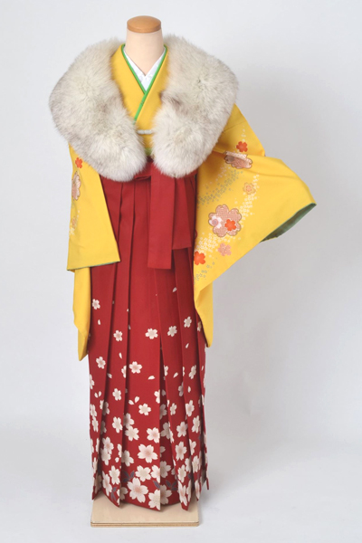 卒業袴［黄色地の桜づくし模様］