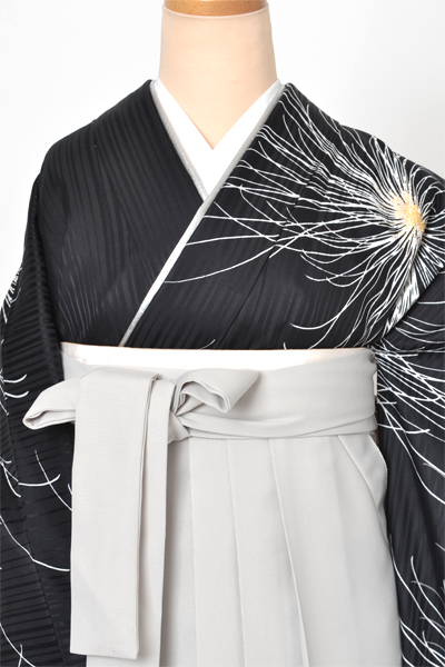 卒業袴［振袖・菊×無地］