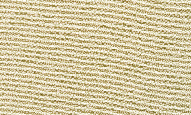 単衣色無地［抹茶色地の江戸小紋］