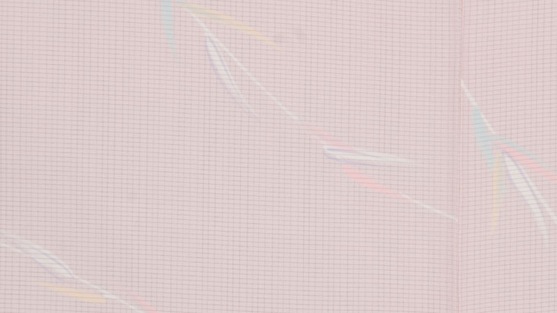 絽小紋(ピンク・葦模様)