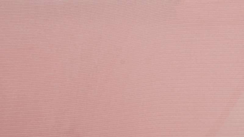 絽色無地(サーモンピンク地の絽)