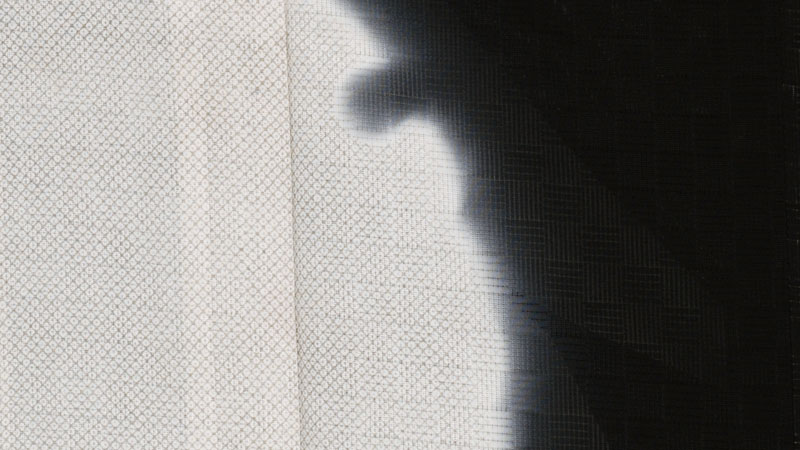 絽訪問着(黒・雪輪)