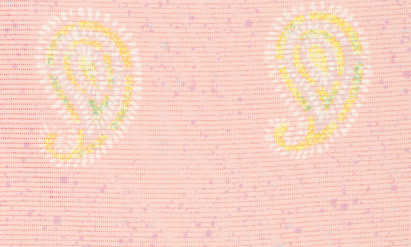 絽小紋［ペイズリー模様］