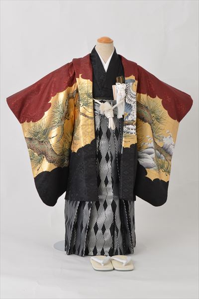 五歳祝着【鷹】(身長約110〜120cmのお客様向け)