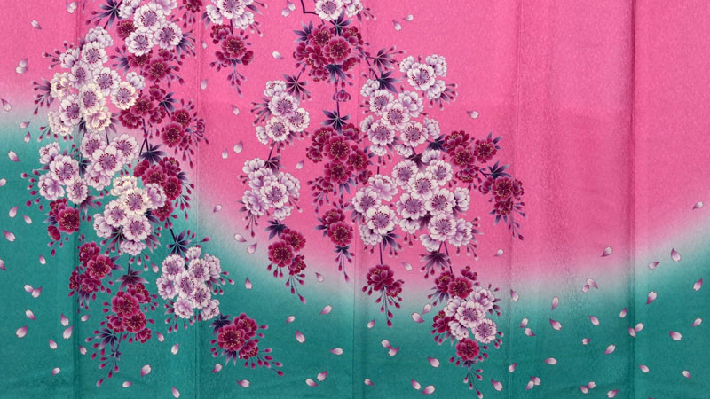 振袖[ピンク・しだれ桜]