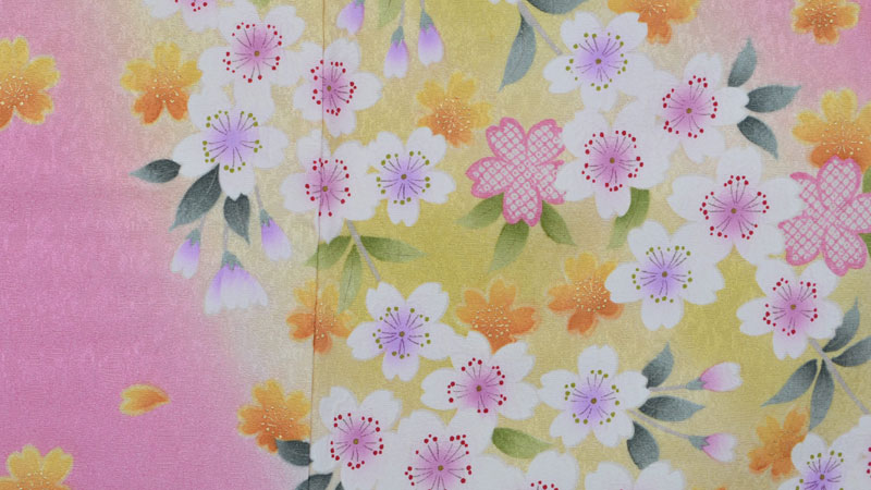 振袖[ピンクと黄のぼかしに桜]