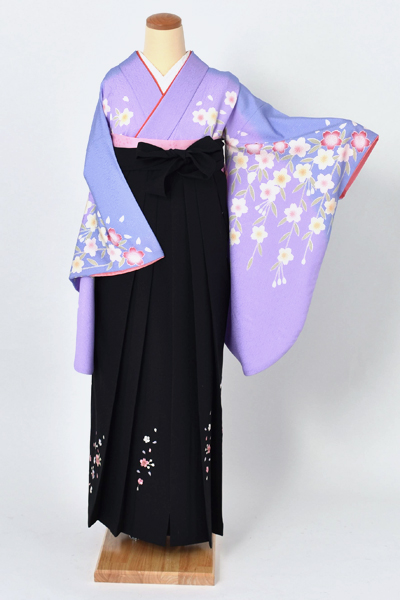 卒業袴[ラベンダー地に枝垂れ桜]