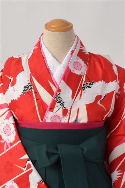 ジュニア袴【卒園式・女児／赤・桜・鶴】