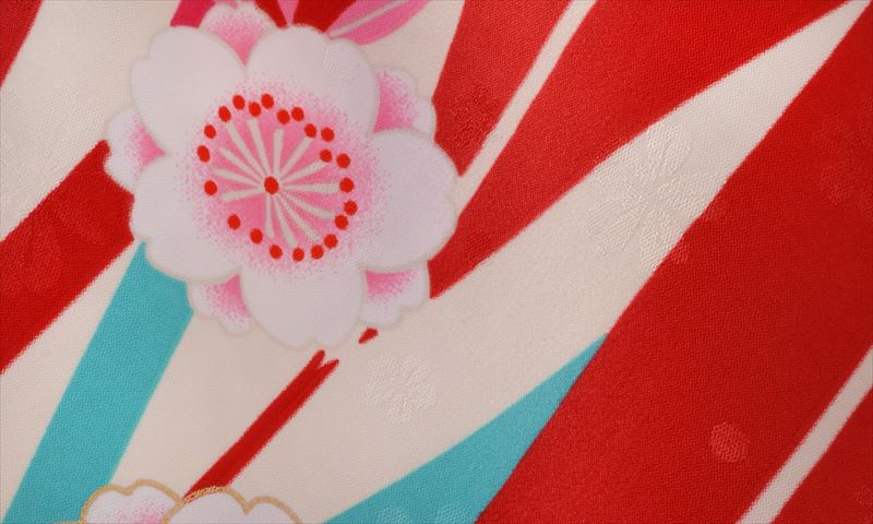 ジュニア袴【卒園式・女児／赤・桜・鶴】