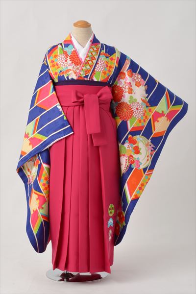 ジュニア袴【卒園式・女児／ブルー・ピンク・大輪菊】