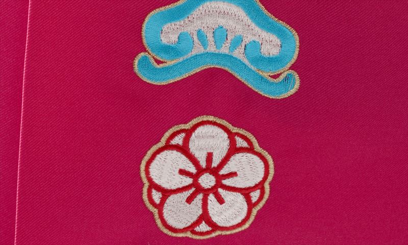 ジュニア袴【卒園式・女児／ブルー・ピンク・大輪菊】