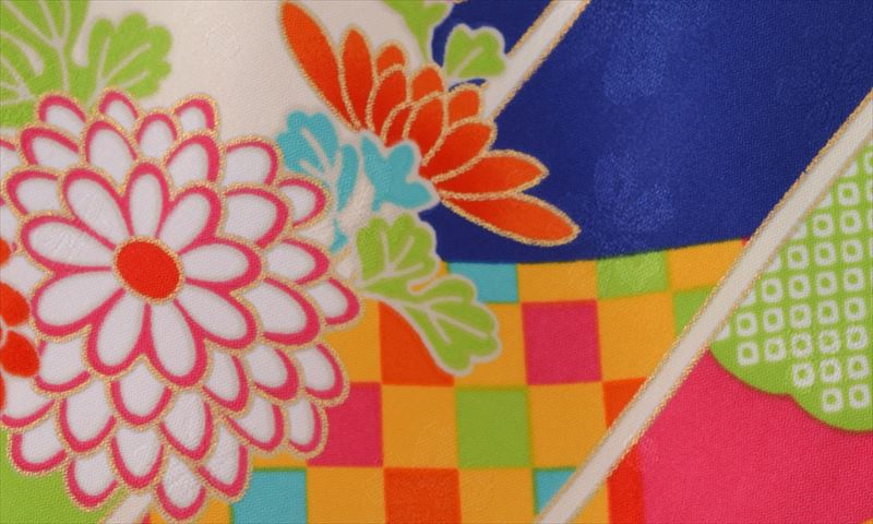 ジュニア袴【卒園式・女児／ブルー・ピンク・大輪菊】